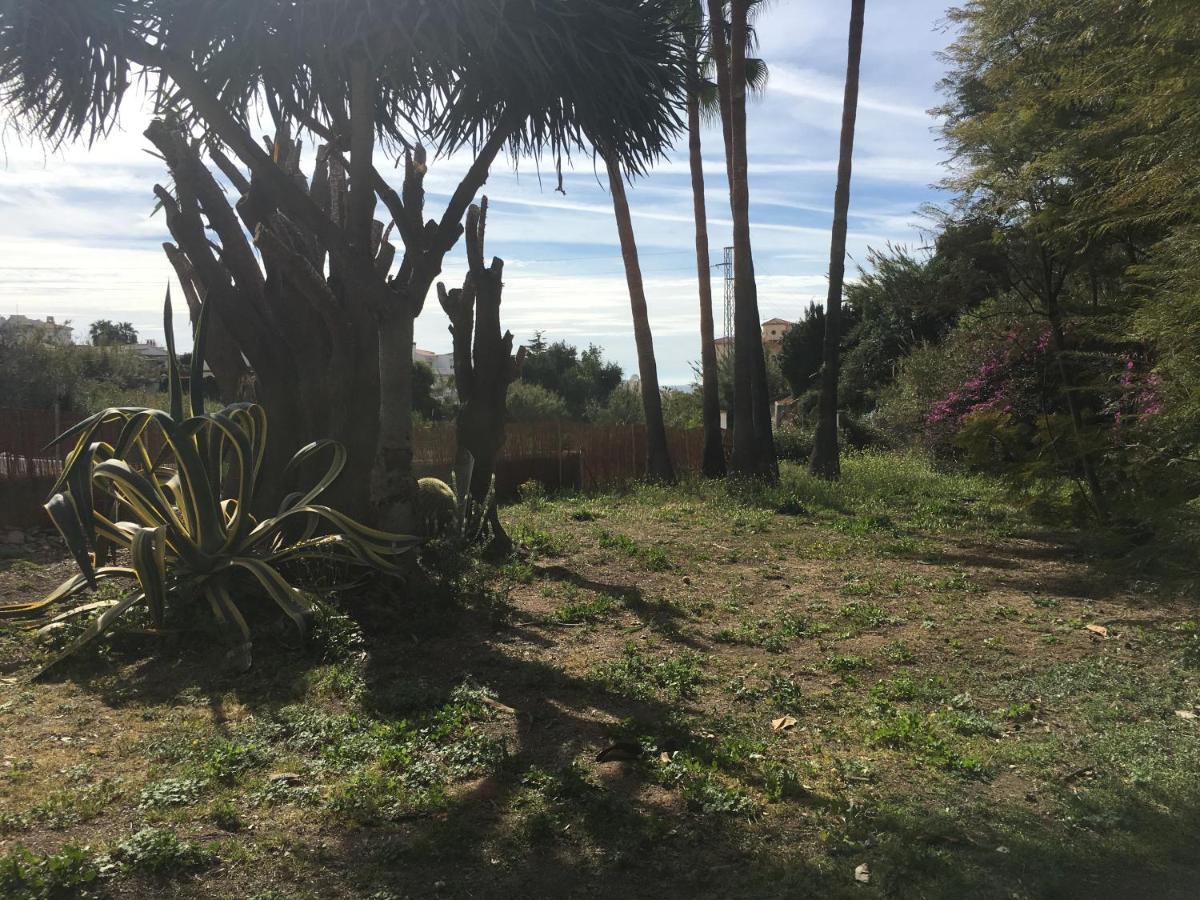 Casa Rural Paloma 贝纳哈拉菲 外观 照片